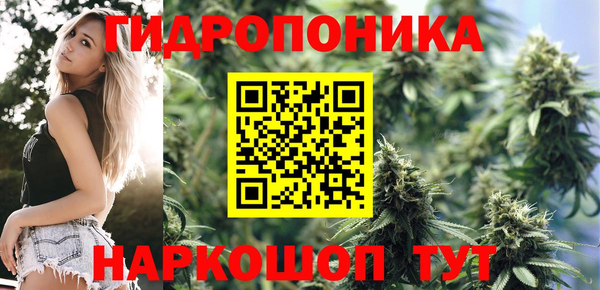 МАРИХУАНА конопля Барнаул